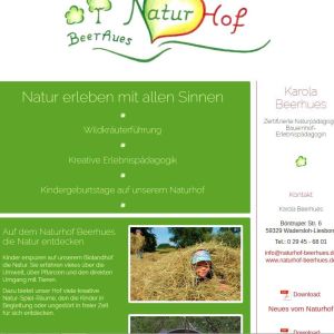 Screenshot eines Webdesign-Projektes im Kundenauftrag (Web-Visitenkarte)