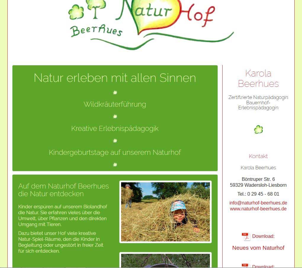 Screenshot eines Webdesign-Projektes im Kundenauftrag (Web-Visitenkarte)