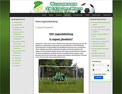 Homepage responsive Joomla Webdesign Referenz für Sportverein
